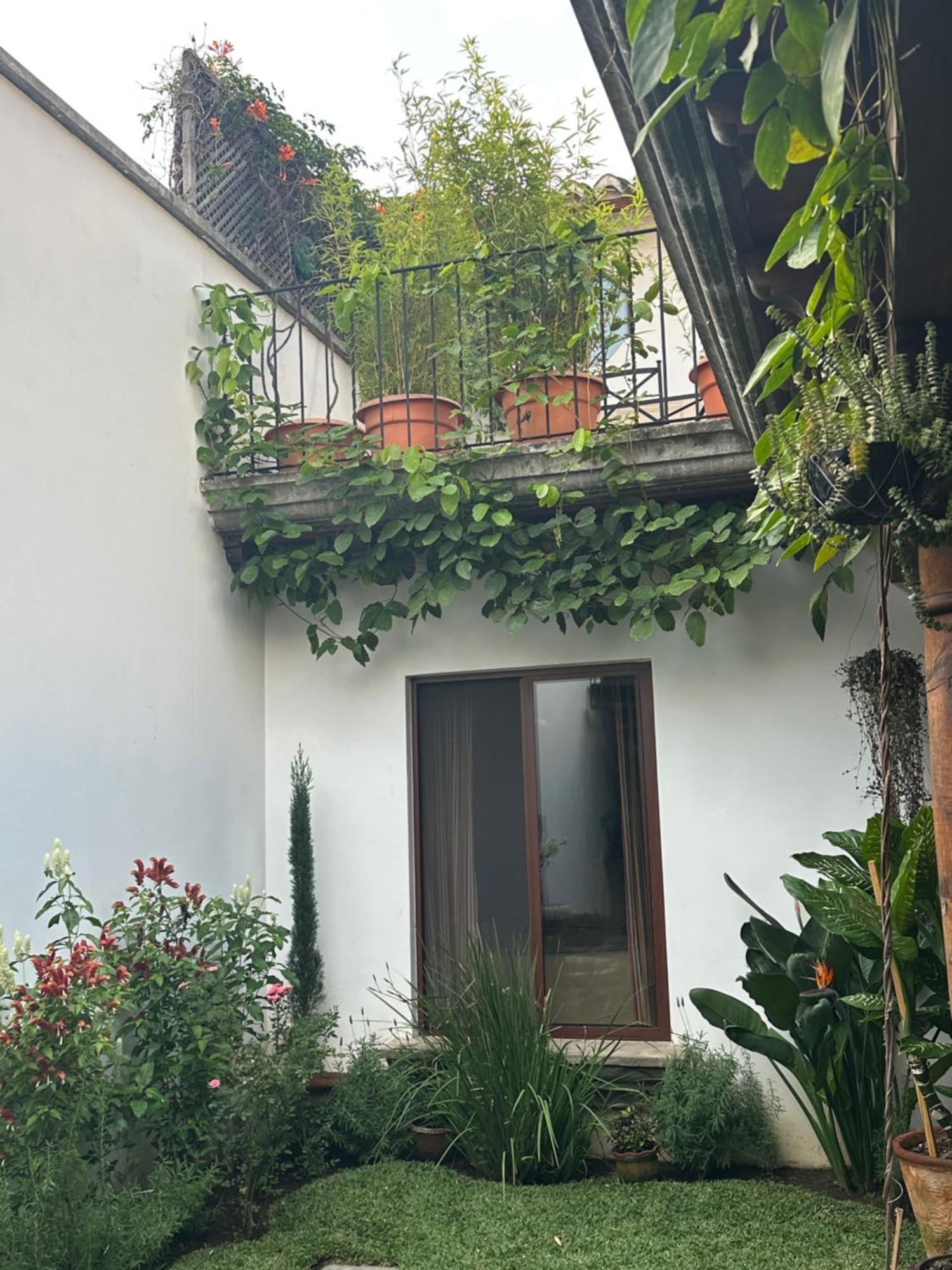 לינה וארוחת בוקר אנטיגואה גואטמלה Casa Elena מראה חיצוני תמונה
